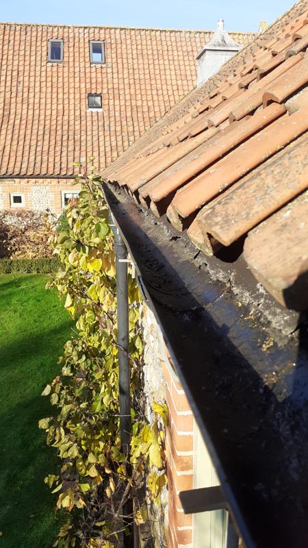 Roof Cleaning (36) - Copy.jpg